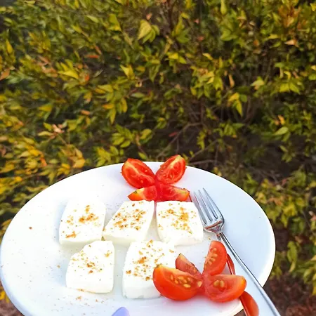 Séjour à la ferme Su Birde *