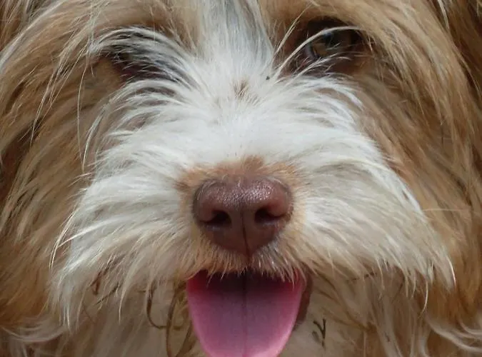 Su Birde Farm stay Orosei